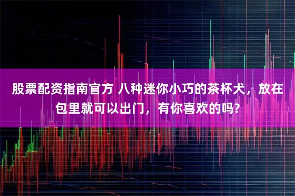 股票配资指南官方 八种迷你小巧的茶杯犬，放在包里就可以出门，有你喜欢的吗?